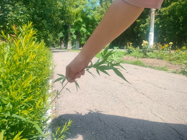 foto 2025 07 09 17 05 1